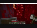 元介護職サローがしゃべりたいだけ【Minecraft】　part22