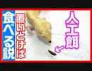 【ピンセットはもういらない⁉】レオバイト(人工餌)は置きエサでも食べてくれるのかを実験してみた！
