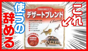 【もう限界⁉】レオパの床材にデザートブレンド使ってみたけどもう使うの辞めようと思います。