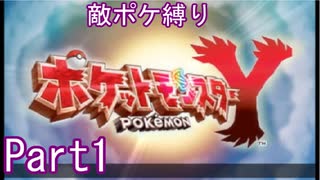 ポケモンYはフレア団縛りでやっていくPart1