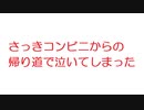 【2ch】さっきコンビニからの帰り道で泣いてしまった