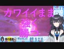 【ポケモン】鎧の孤島でカワイイ探しするカワイイAI　10分まとめ　後編【出雲霞】