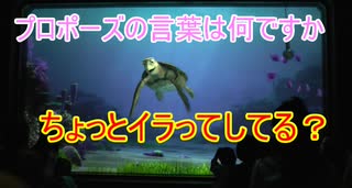 プロポーズの言葉は何ですか【タートルトーク】東京ディズニーシー