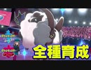 【ポケモン剣盾実況】全種育成その13【バイウールー】