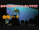 去年も質問させてもらったんですけど【タートルトーク】東京ディズニーシー