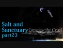 【Salt_and_Sanctuary】2D世界の呪われた島を初見探索【実況】part23