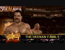 ヒーナン一家　VS D-Generation X(トリプルＨ＆ショーン・マイケルズ）ＷＷＥ