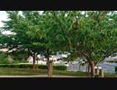 朝ドラ「エール」への　＃エール／らじお　ZATSUDANic　NATIVE　