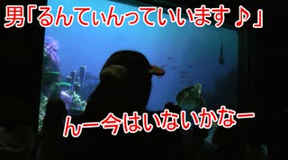 男「るんてぃんっていいます♪」【タートルトーク】東京ディズニーシー