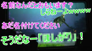 あだ名付けてください。そうだなー〇〇！【タートルトーク】東京ディズニーシー