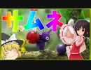 【ゆっくり実況】スプラもいいけどたまにはピクミンもいかが？？　#12日目前編【ピクミン2】