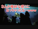なんか微妙な感じになっちゃったなーｗｗｗ【タートルトーク】東京ディズニーシー