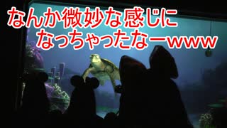 なんか微妙な感じになっちゃったなーｗｗｗ【タートルトーク】東京ディズニーシー
