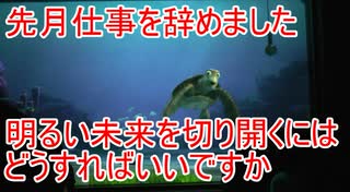 先月仕事を辞めました。明るい未来を切り開くには・・・【タートルトーク】東京ディズニーシー