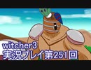 探し人を求めてwitcher3実況プレイ第251回