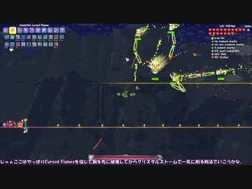 Terraria廃人への道【Master Mode】Part27