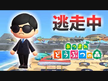 【あつ森】逃走中を森でやってみた inつべ島【実況】あつまれどうぶつの森