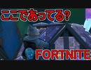 SwitchからPS4に移行した人のフォートナイト実況プレイPart25【FORTNITE】