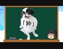 【ゆっくり解説】犬種２９：狆