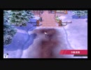 台湾の人がポケモンソードの世界を行く70