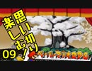 【実況】思い切り楽しむ！【ペーパーマリオRPG】Part09