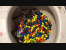 M&M'sとハローパンダをトイレに流してみた