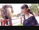 【公式】山地まり「君との始まり」やまち象に乗る♪