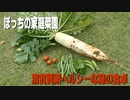 庭の野菜で清貧質素ヘルシーな食卓【キッチン・ガーデン #23】