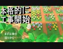 【あつまれ どうぶつの森】　第四十幕　島の本格工事開始！！まずは庭園から～2