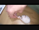 ハムスター飼いました。その97～2020年6月だよ!!体重測定だよ!!～