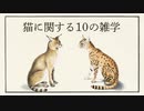 猫の生態を紹介します！