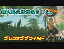 【実況】裸一貫でやり直します。「ゼルダの伝説　ブレスオブザワイルド」パート１０