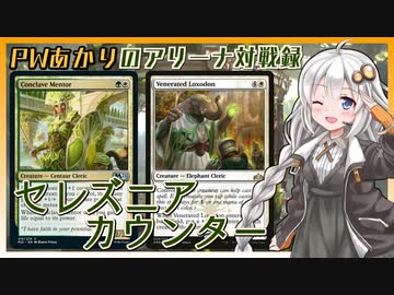 PWあかりのアリーナ対戦録『議事会の導師と+1/+1カウンター』【MTGA】