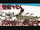 宝鐘マリン、犬神家の一族になる