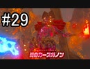 世界を冒険するべく「ゼルダの伝説 ブレスオブザワイルド」実況　part29