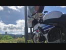 マタタビのとある初夏のツーリング