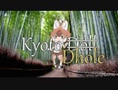 【ご当地合作２単品】KyotoDhole