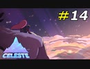 登頂した者だけが得られる達成感と山頂から景色[Celeste]#14