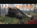 倍速ハイテンポ版オオカミ密猟王。The Hunter call of the wild。※銃声に注意。