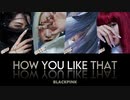 BLACKPINK - "How You Like That"【Lyrics/Audio】