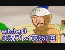 探し人を求めてwitcher3実況プレイ第252回
