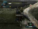 【MHF】アグニで祖龍（うp実験）