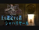 【解説実況】絶望を読み解く - ニーア ゲシュタルト - #09