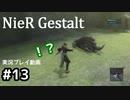 【NieR Gestalt】こんにちは狂気【part13】