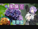 【車載動画】雨の日のあじさい屋敷＆茂原飯（美食幸健　慶飯）～まだ見ぬ世界に旅に出よう！ 番外編～