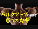 【バルクアップ】身体を大きくしたくない方は見ないでください【ビーレジェンド プロテイン】