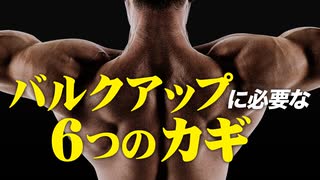 【バルクアップ】身体を大きくしたくない方は見ないでください【ビーレジェンド プロテイン】