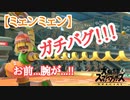 ミェンミェン腕固定バグ