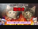 【ゆっくり解説】「猫焼き～夏至のヨーロッパへ愛をこめて」