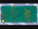【剣盾】水族館パでワイワイバトル：14【シングルカジュアル】